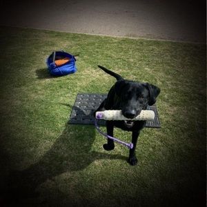 Meet your Posher, Carol